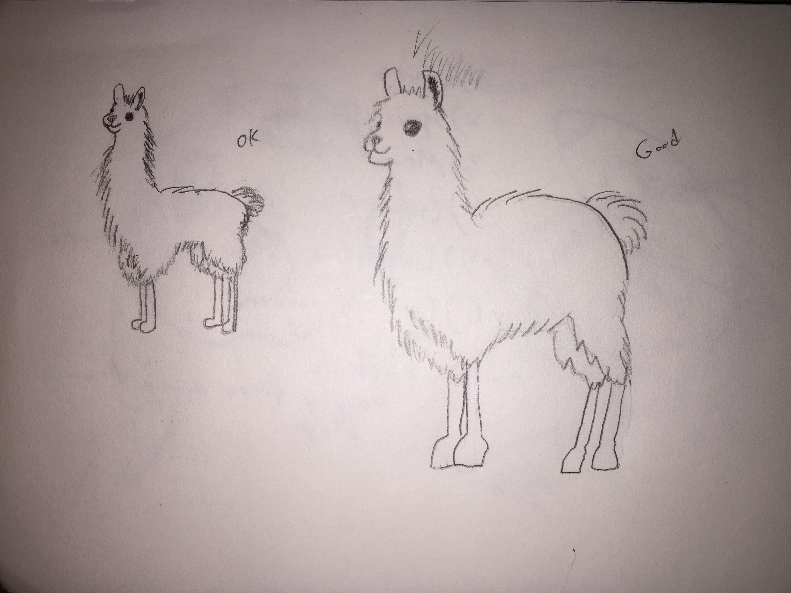 Alpacas 2 