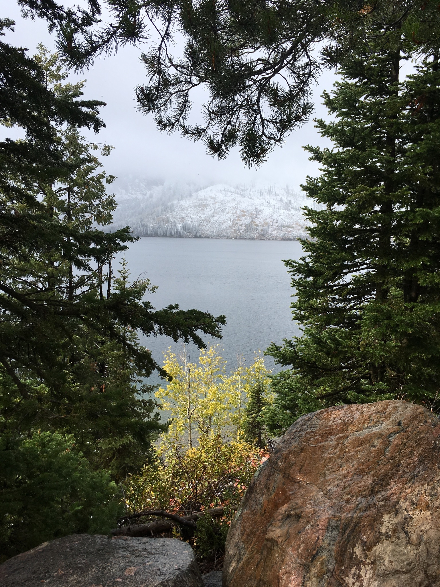 Silvrback blog image