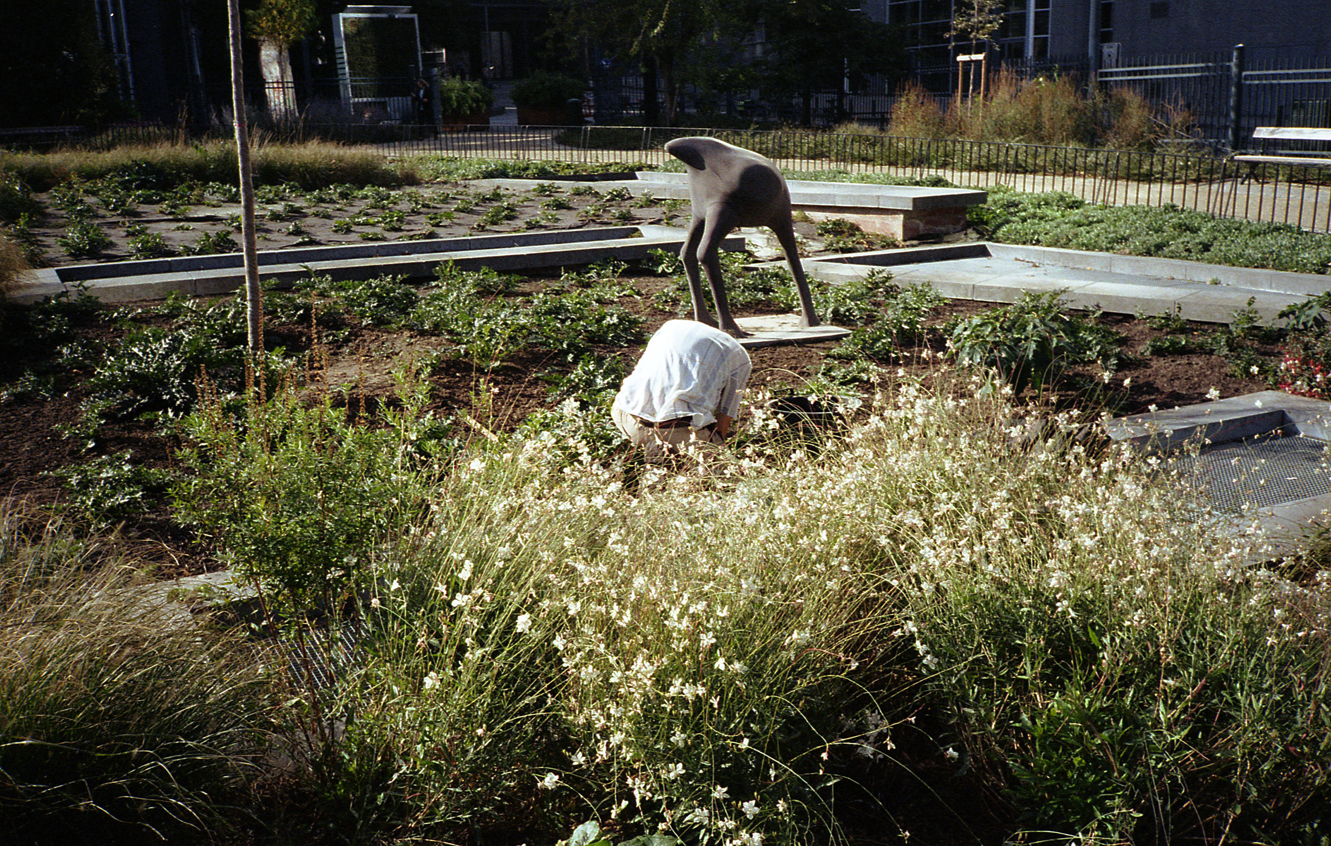 Silvrback blog image