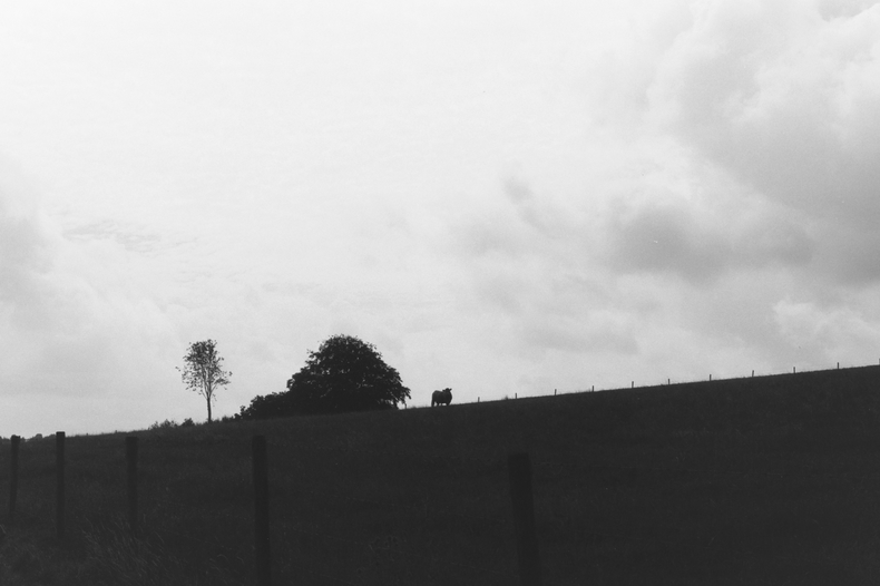 Silvrback blog image