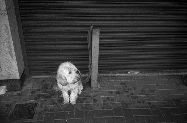 Silvrback blog image