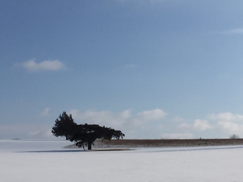 Silvrback blog image