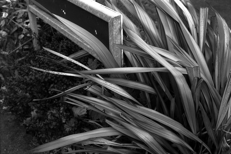 Silvrback blog image