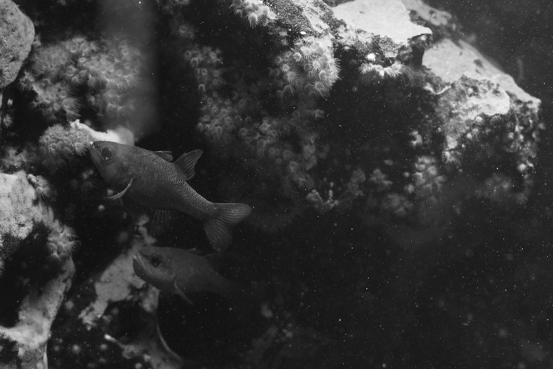 Silvrback blog image