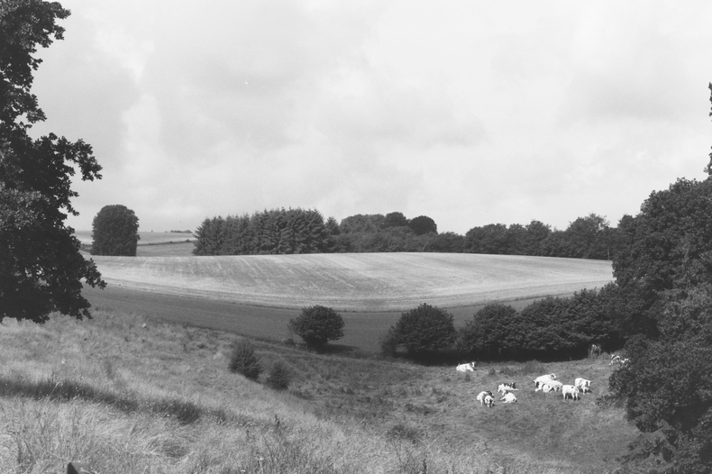 Silvrback blog image