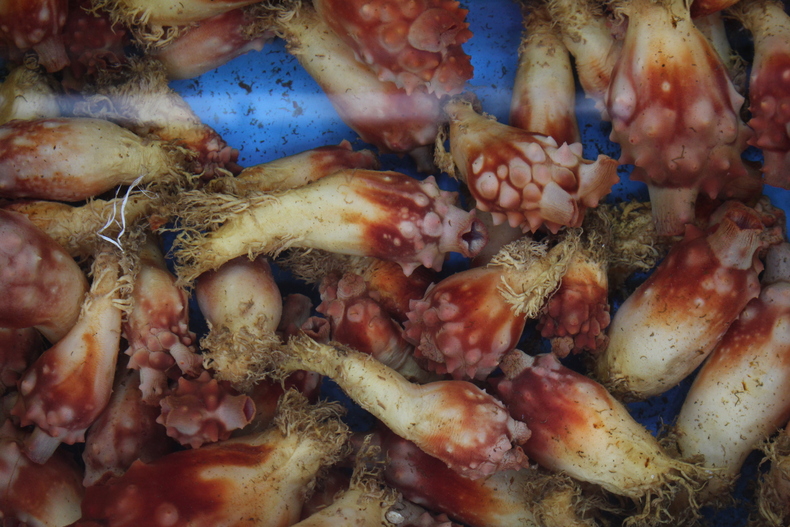 Silvrback blog image