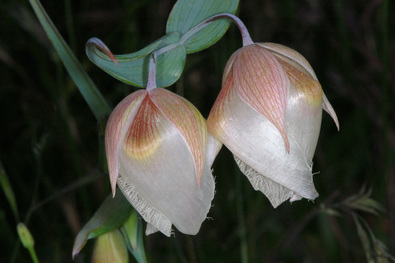 Silvrback blog image