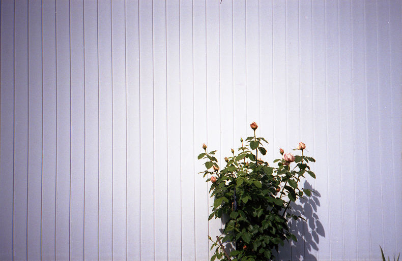 Silvrback blog image