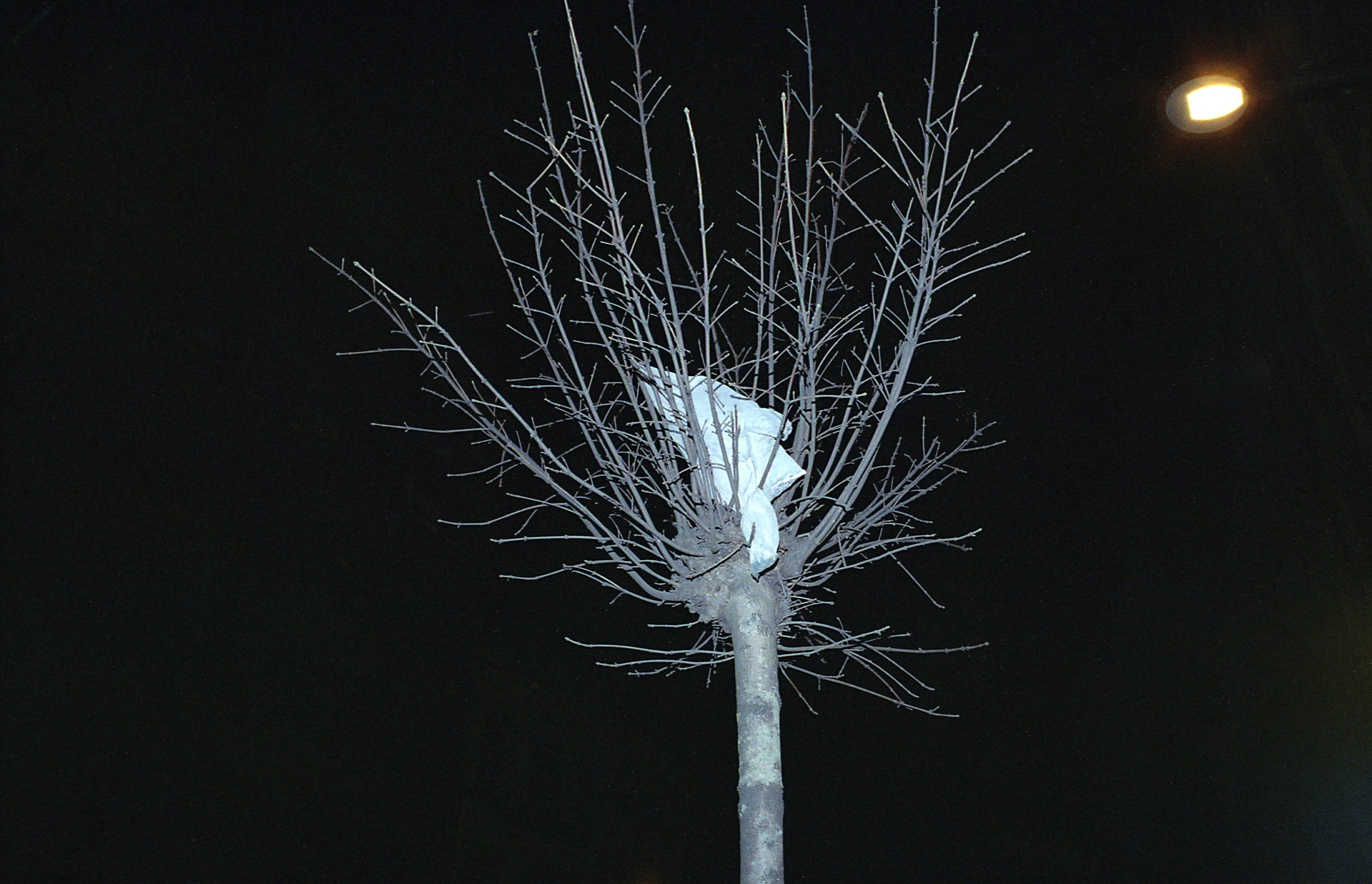 Silvrback blog image