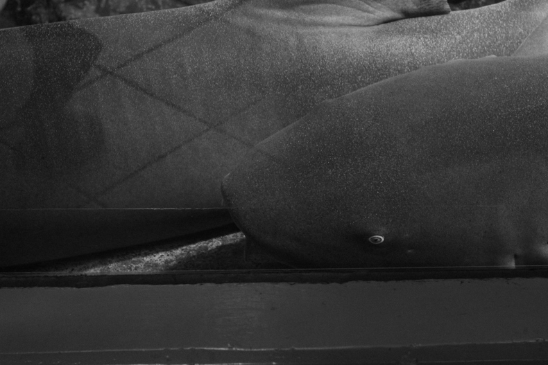 Silvrback blog image