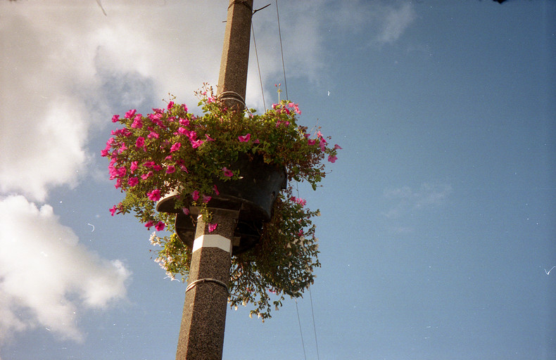 Silvrback blog image